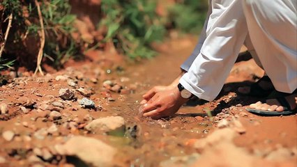 Homayun Sahebzai - Jar Mast Mehbobe NEW MAST PASHTO SONG