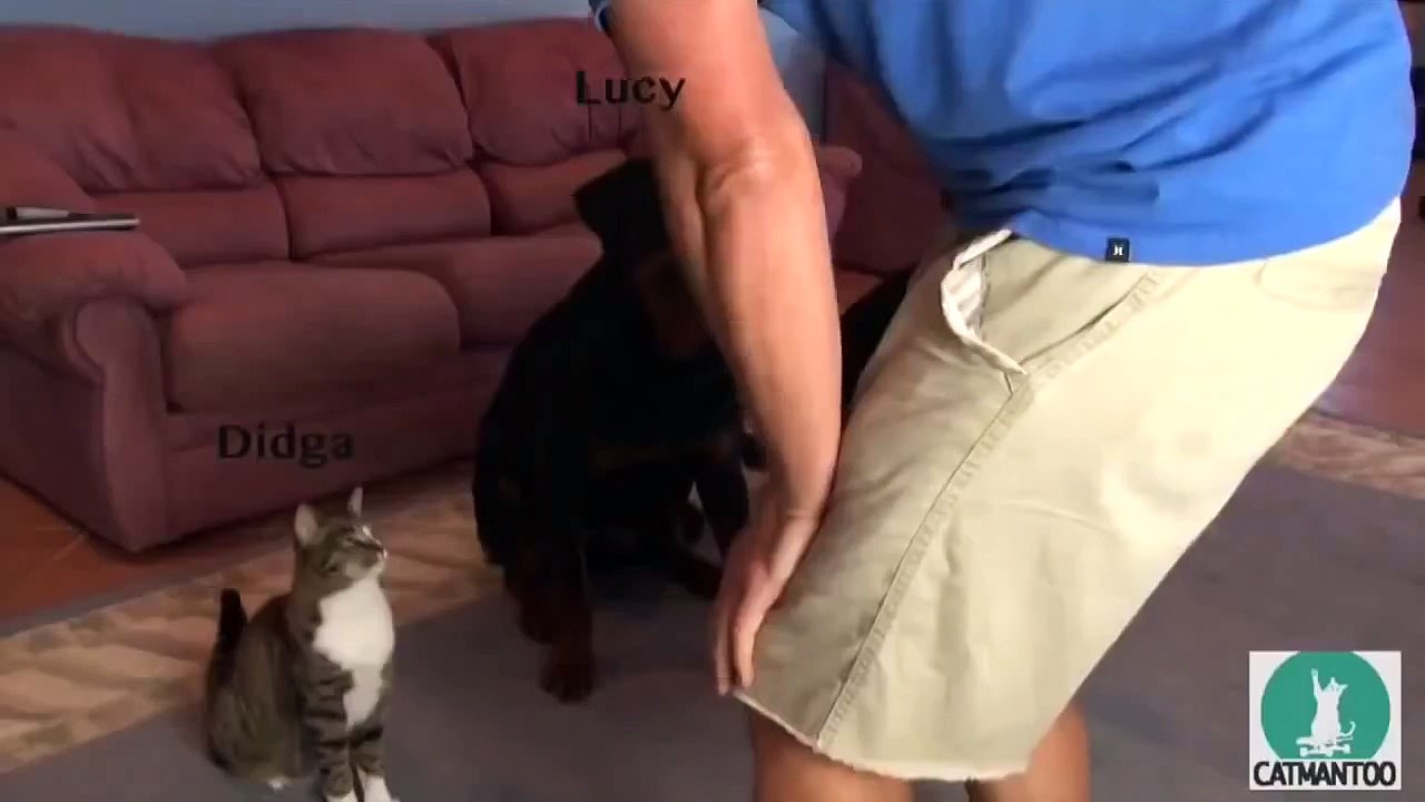 Вот что значит расти с двумя ротвейлерами