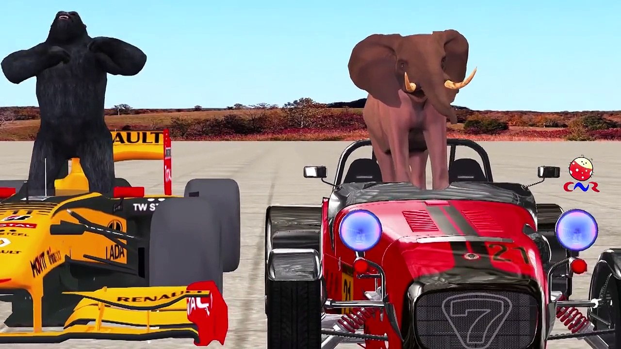 Dinosaurs, Lion, King Kong, Tiger And Godzilla Cartoons Car Racing Videos For Children