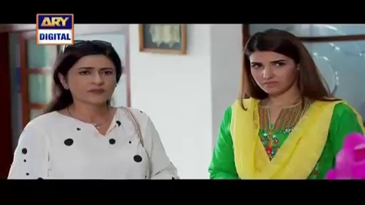 Mere Jeevan Sathi Episode 24 Full on Ary Digital 14th January 2016