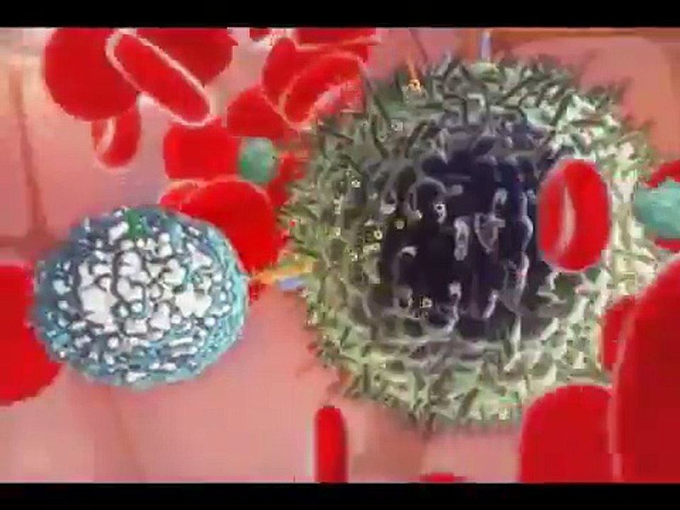 Immune System - Natural Killer Cell