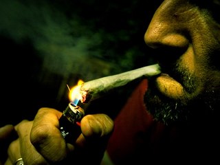 3° Partie: La réponse des trafiquants marocains au documentaire “Aux royaumes du shit” de CANAL+