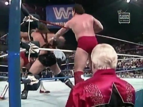 Tag Titles Brain Busters vs Demolition SuperStars Nov 4th, 1989