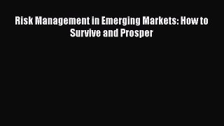 Read Risk Management in Emerging Markets: How to Survive and Prosper PDF Free
