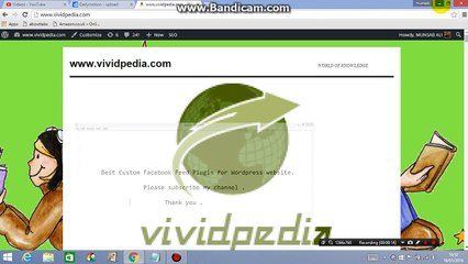 Best Custom Facebook Feed Plugin for Wordpress website