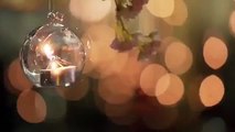 Anna Wang Romantic lighting with elegant flower arrangements (720p Full HD)
