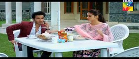 Gul-e-Rana Episode 11 HUM TV 16 January 2016 Full HD Part 2-Video Dailymotion