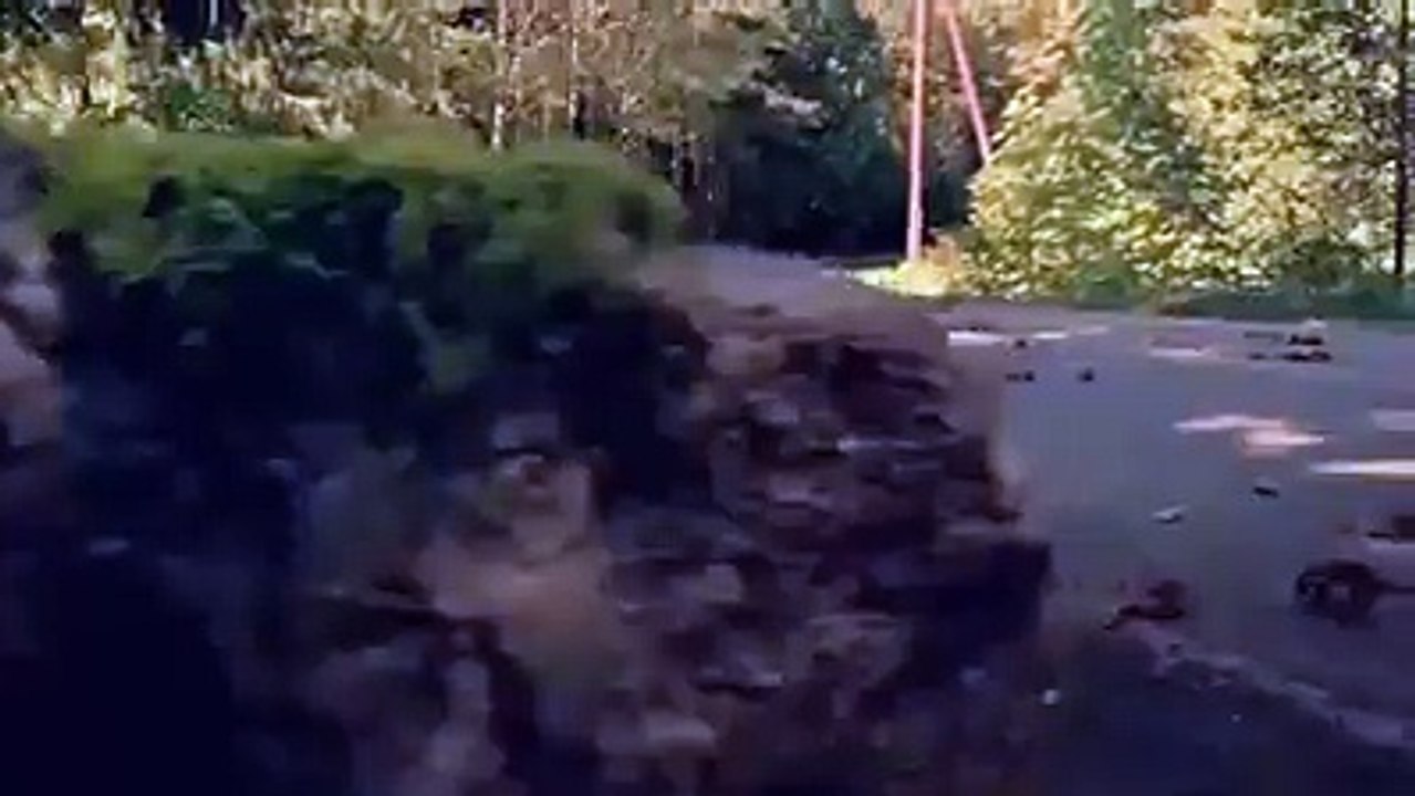 Yapılan iyilik karsılıksız kalmaz (animasyon )