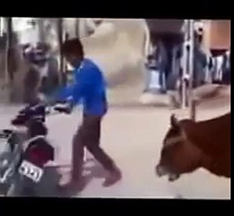 Funny indian bike fail, Funny WhatsApp video 2016