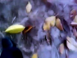 Faisalabad Girl Dating-Dating in Faisalabad Park