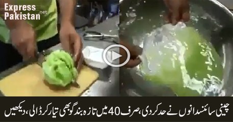 Duplicate synthetic cabbages are made in China in just 40 seconds
