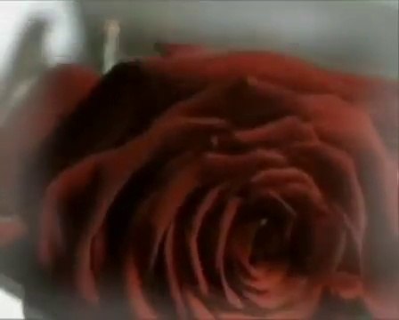 demet akalın(ben seni adam gibi sevdim)