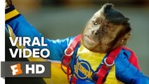 Monkey Up VIRAL VIDEO - Monty’s Top Ten Acting Tips (2016) - John Ratzenberger Movie HD