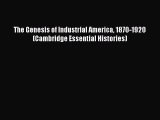 [PDF Download] The Genesis of Industrial America 1870-1920 (Cambridge Essential Histories)