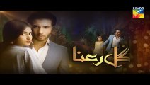 Gul-e-Rana Episode 12 Promo 23 January 2016 Full Hum Tv