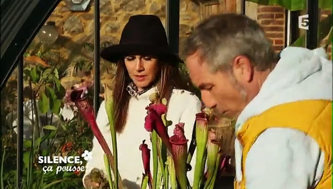 Silence, ça pousse ! 15.01.2016 VOSTF France 5