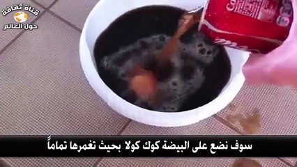شاهد ماذا يحدث للبيضة عند وضعها في كوكا كولا