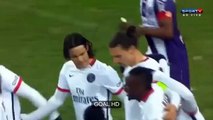 Toulouse - Paris Saint Germain (0-1) Ibrahimovic  Goal Ligue 1 /16/01/2016