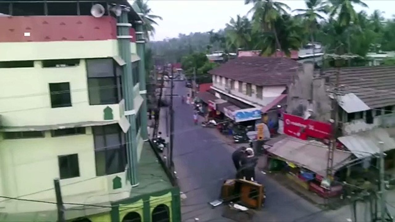 India un elefante crea disordine