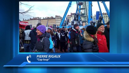 D!CI TV : 2500 manifestants pro-loup à Lyon demandent une rencontre avec la ministre de l'écologie Ségolène Royal