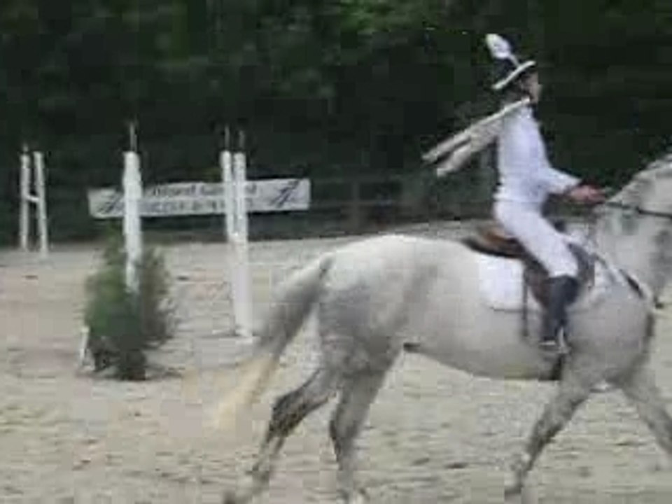 La rochette concours déguisé