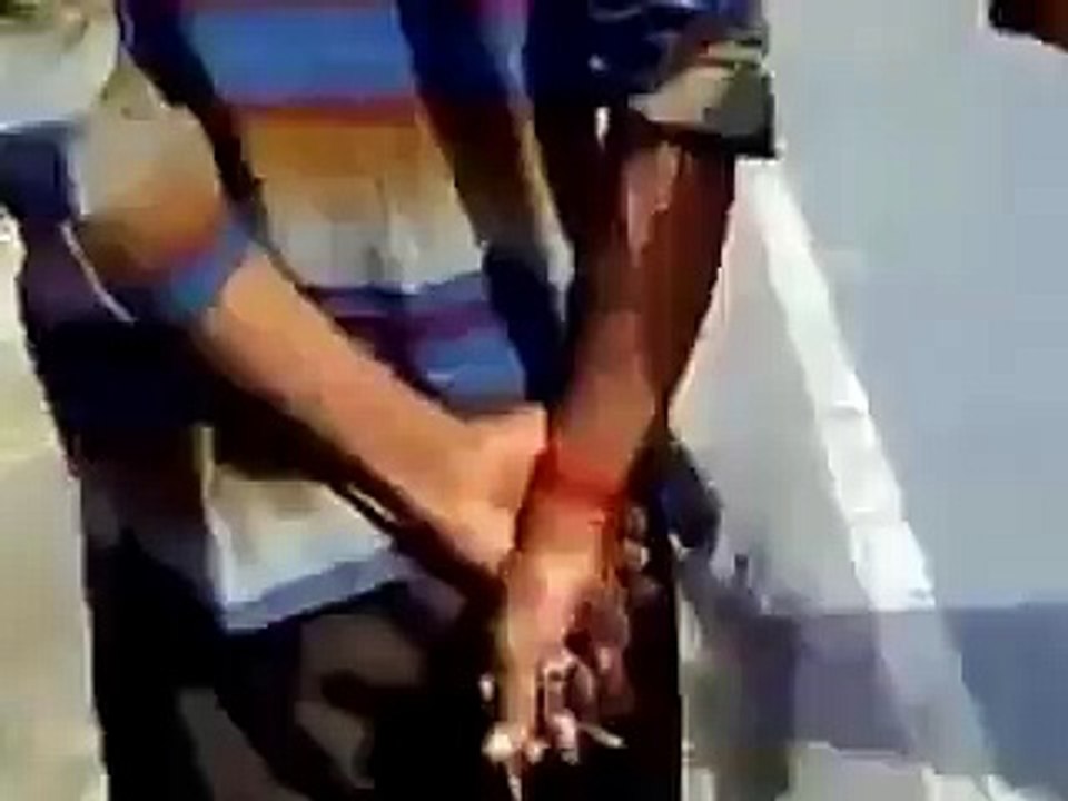 Combat entre unSerpent et la mangouste