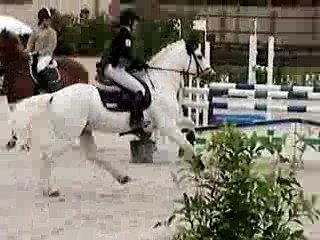 Leaership et Sindy Rigaut Haras de Bory D1e