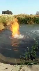 "..Who is.. - GVP.."