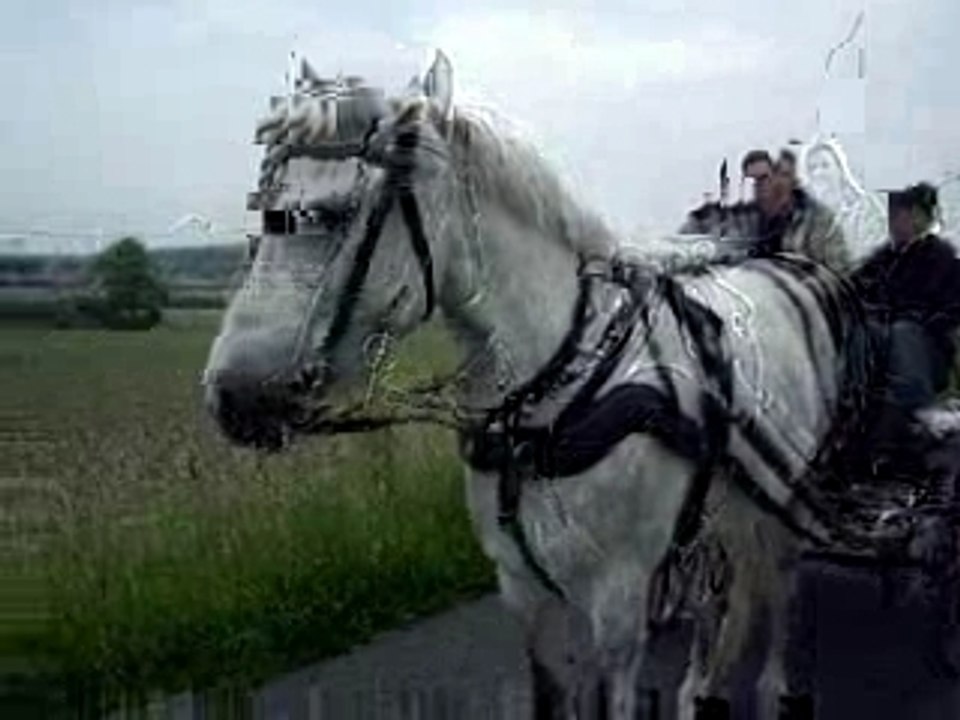 Gringo avec sa nouvelle voiture