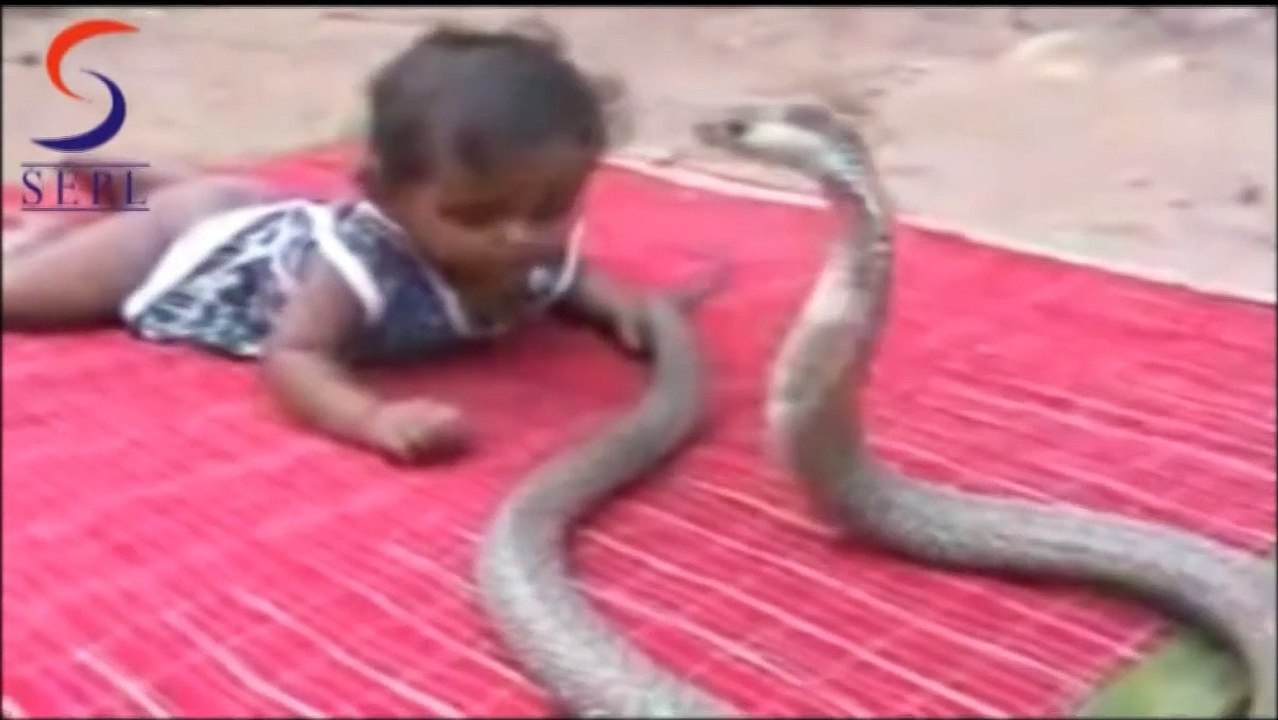 Old my God we're is the Parents & why are they Allowed this they need to be Lock up sorry but thats being a bad parents known at Country