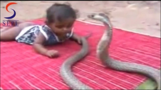 Old my God we're is the Parents & why are they Allowed this they need to be Lock up sorry but thats being a bad parents known at Country