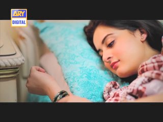 Shehzada Saleem Promo 1 On ARY Digital