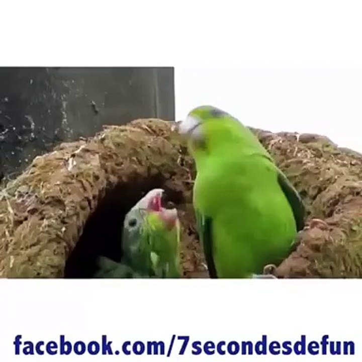 Quand t est avec un poto et t entant ta musique préférer