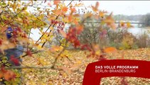 Unser Sandmännchen -Kallis Lieder: Kalli-Tanz