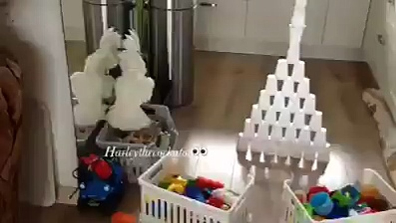 Gangsta