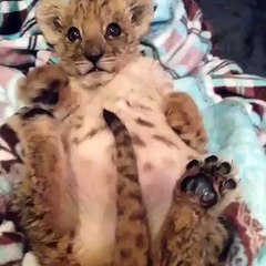 Sunday morning vibes