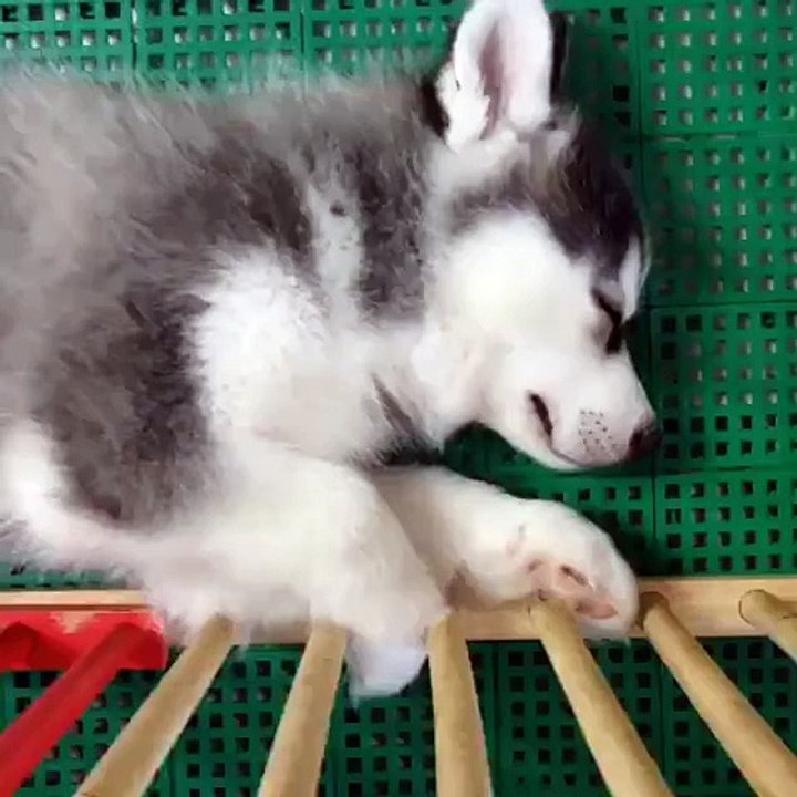 Waking up in awkward positions