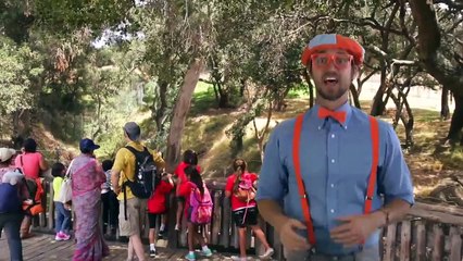 Colors Song, Nursery Rhymes, Learn to Count for Toddlers – Tractor Backhoe Collection for kids – 1 Hour