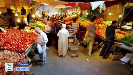 الأردن - جنى مقداد - طيور الجنة