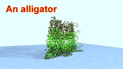 Learn Animals For Children - Candy Bear Alligator Ant Chicken Turtle