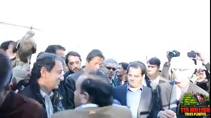 Latest Video Of Imran Khan releases falcons