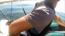 Kayakers Encounter Curious Shark | Close Encounters