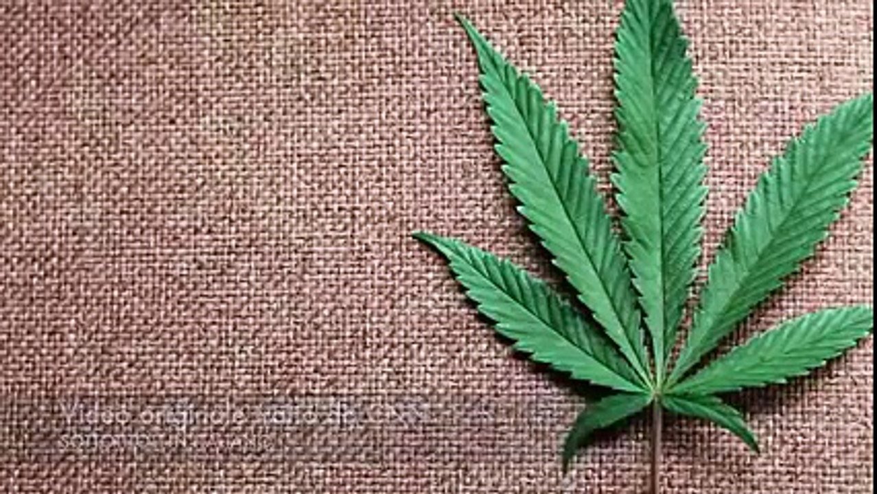 marijuana