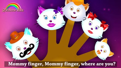 The Finger Family Cat Lollipop Family | Cat Lollipop Finger Family Songs