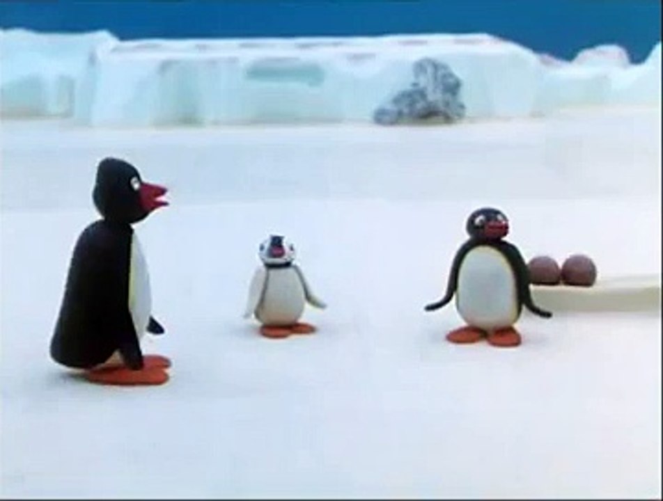Pingu Cannot Lose Clip Pingu Official Channel