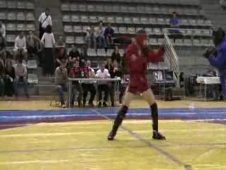 GPPS 2007: Sambo Combat