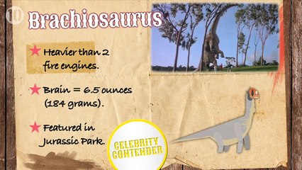Top 10 Biggest Dinosaurs that Walked the Earth