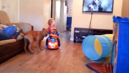 Puppies and Babies Playing Together Compilation 2014 [HD]