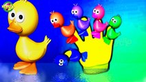 Finger Family Duck Cartoon Nursery Rhyme For Kids | Cartoon Finger Family | Baby Songs |