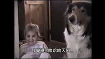 Love smile Dog! In response to the request, cant stop laughing. cute Dog subtitles